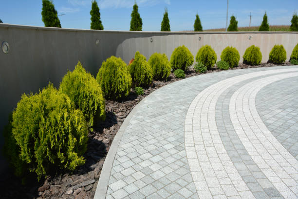 Best Driveway Paving Contractor  in Mason City, IA